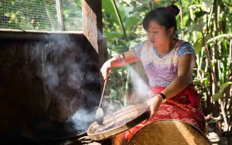 bali coffee plantation